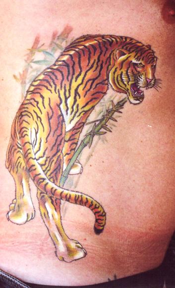 Brilliant Tiger tattoo Done by  Skin City Tattoo Dublin  Facebook