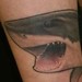 Tattoos - shark tattoo - 50595
