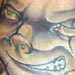Tattoos - 1024 - 13126