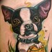 Tattoos - Boston Terrier - 50988