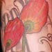 Tattoos - Koi and Lotus - 13109