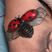 Tattoos - TATTOO PARIS AVIGNON FRANCE, TATOUAGE PARIS AVIGNON TATTOOS,TATOUEUR PARIS, BOUTIQUE TATTOO PARIS, BOUTIQUE TATOUAGE AVIGNON - 29856
