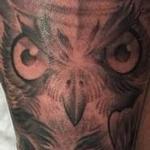 Tattoos - Wise Owl - 101966
