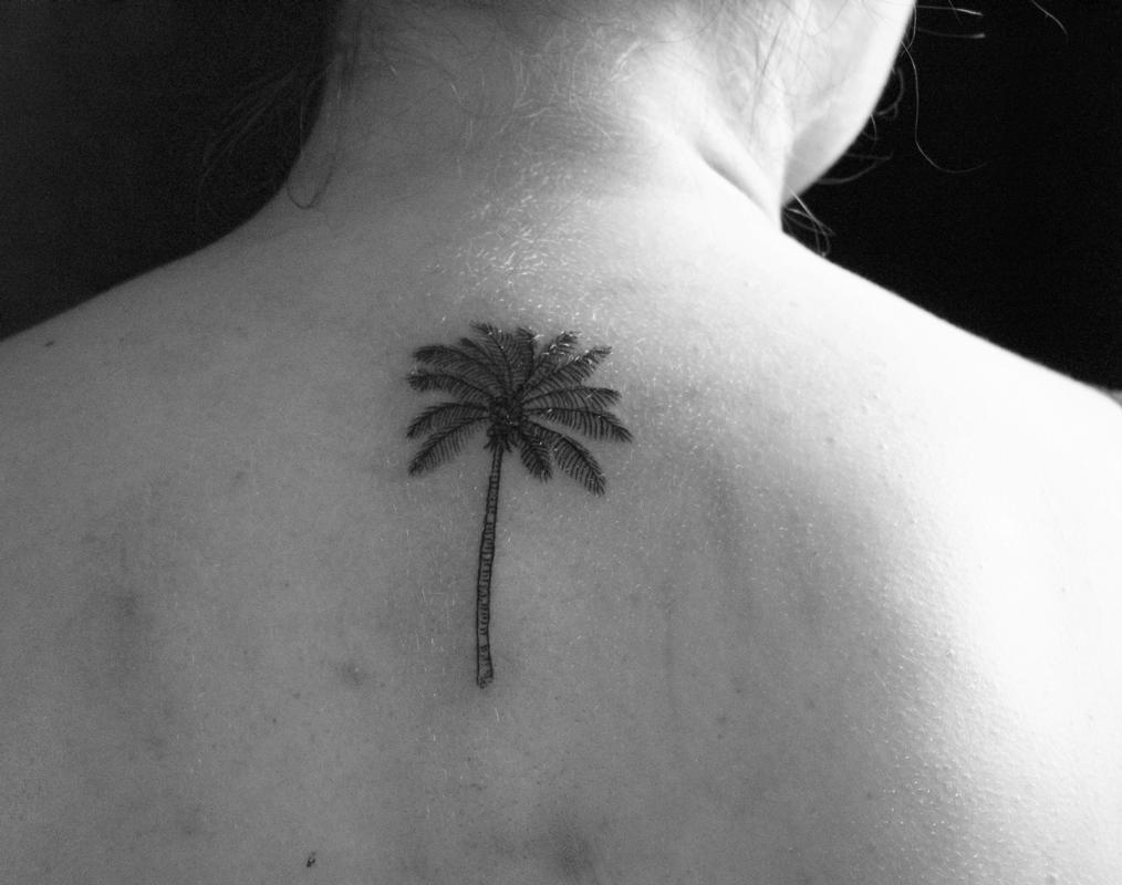 Small palm tree tattoo on back by Ben Licata: TattooNOW