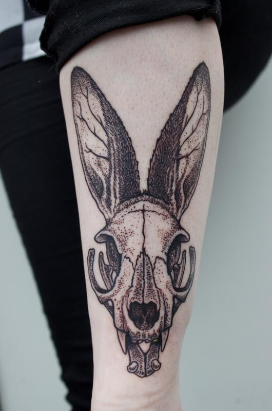 Stippled illustrative dotwork cat skull with rabbit ears tattoo by Ben  Licata: TattooNOW