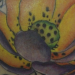 Tattoos - Color lotus tattoo - 51911