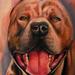 Tattoos - Dog Portrait - 64987