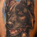 Tattoos - German Shepard Dog Tattoo - 26288
