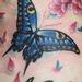 Tattoos - Color Butterfly Tattoo - 60543
