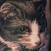Tattoos -  - 38599