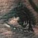 Tattoos - skull hand eye - 89183