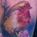 Tattoos - Realistic Bird Tattoo - 58580