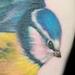 Tattoos - Bird tattoo - 75257