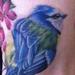 Tattoos - Birds - 75255
