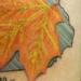 Tattoos - New Hampshire Tribute - 53420
