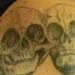 Tattoos - Siamese Twins Skeleton - 53421
