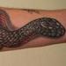 Tattoos - Realistic Snake Tattoo - 60489
