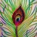 Tattoos - Peacock feather - 61371