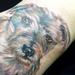 Tattoos - portrait of dog - 61384