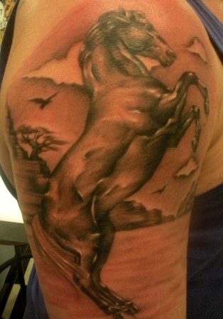 horse tattoo half sleeve in progress by Jay Michalak: TattooNOW