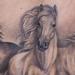 Tattoos - Three Horses - 94928