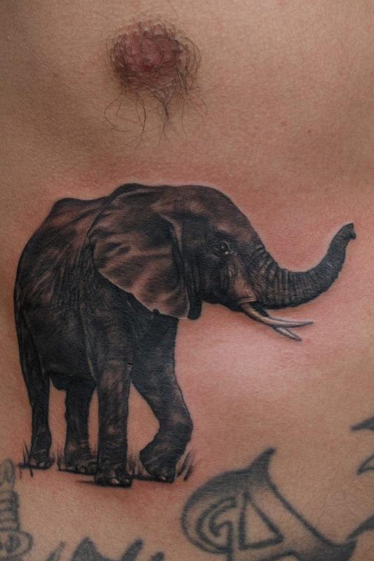 Elephant By John Lally TattooNOW