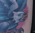 Tattoos - eagle - 8019
