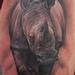Tattoos - Rhino replication wildlife realism black and grey arm tattoo - 57653