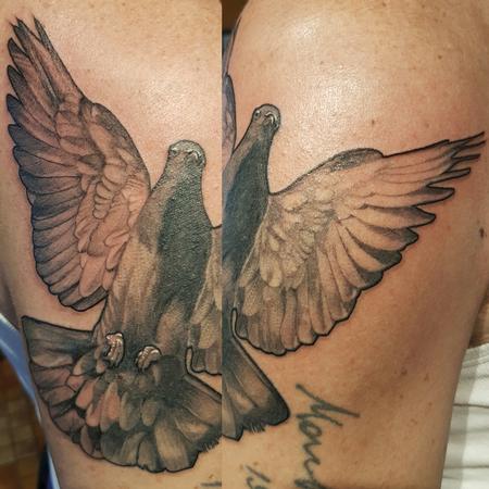 Tattoos - Pigeon - 126420