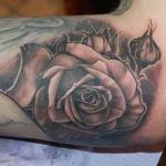 Tattoos - Rose - 116915
