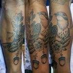 Tattoos - acorn bird - 114253