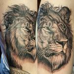 Tattoos - Fine line Feline - 126638