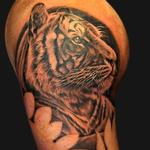 Tattoos - Tiger portrait - 102438