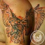 Tattoos - watercolour owl - 123317