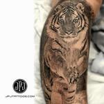 Tattoos - Healed Tiger in Snow - 108372