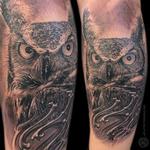 Tattoos - Owl & Bones - 116560