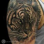 Tattoos - Tiger - 114296