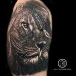 Tattoos - Lion - 101836