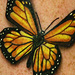 Tattoos - Monarch butterfly tattoo - 84339