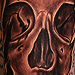 Tattoos - ripping skull tattoo - 71130