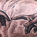 Tattoos - The Creation of Adam - 75788