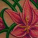 Tattoos - flowers and vines tattoo - 71132