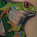 Tattoos - red eyed tree frog tattoo - 71137