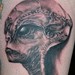 Tattoos -  - 39737