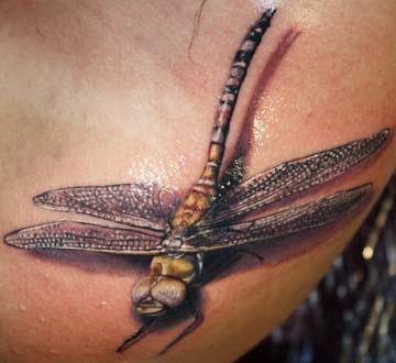 Tattoos - Dragon Fly - 63075