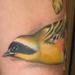 Tattoos - Bird - 91447