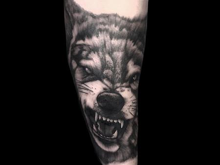 Tattoos - Snarling Wolf - 140713