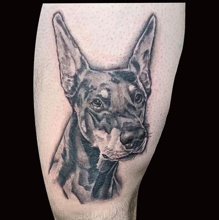 Tattoos - Doberman Pinscher - 141483
