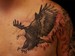 Tattoos - Eagle - 46386