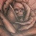 Tattoos - Black and Gray Rose and Skull Tattoo - 46352